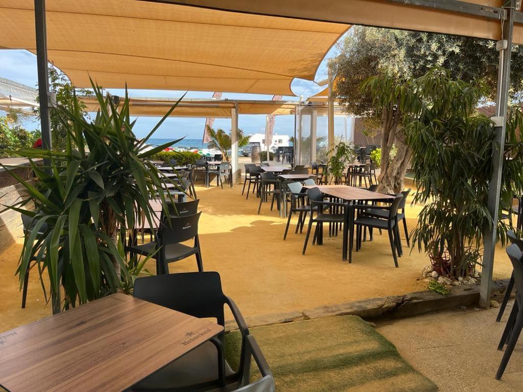 Beach Apartment Amalia Torrevieja Bagian luar foto